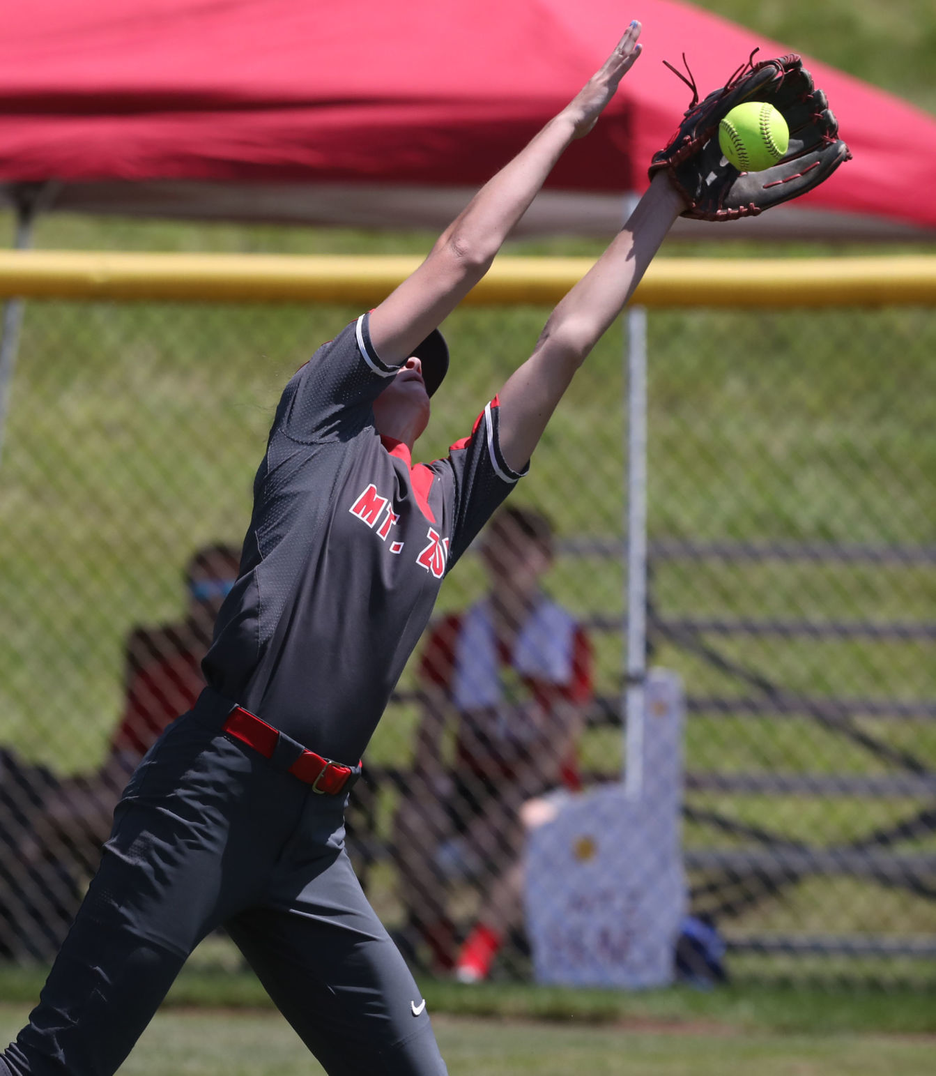 Mount Zion vs Sycamore softball 11 6.7.19.jpg